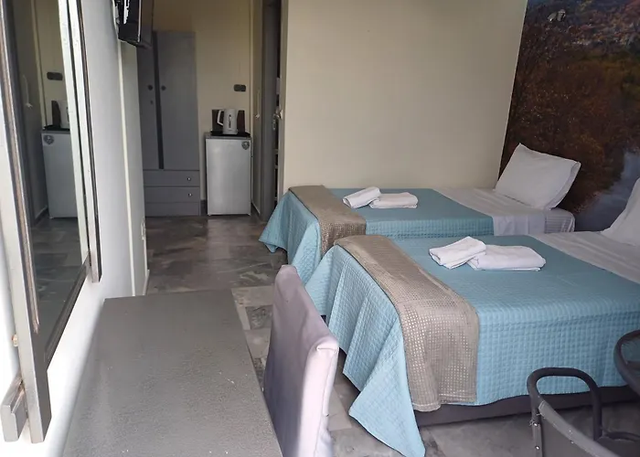 ホテル Enalion 3*